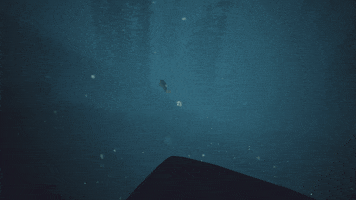 annapurnainteractive annapurnainteractive edithfinch GIF