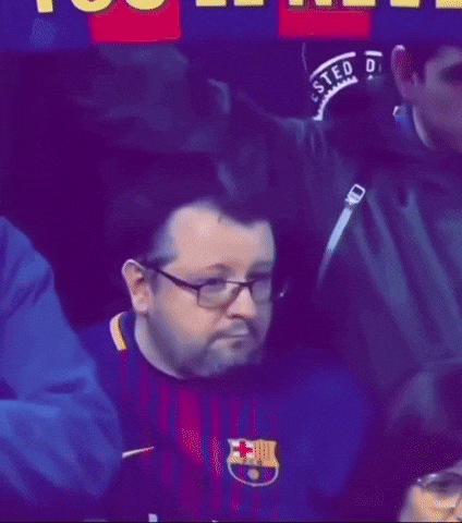 Football Fans GIF