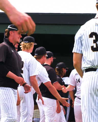 Baseball Dons GIF by Purdue Fort Wayne Athletics