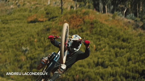 GIF by dmrbikes