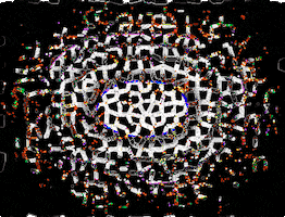 united states submission GIF by The Savannah .GIF Festival