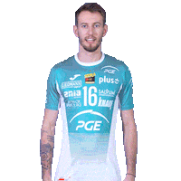 Happy Volleyball Sticker by PGE Skra Bełchatów