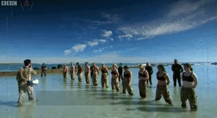 wikitree giphyupload GIF