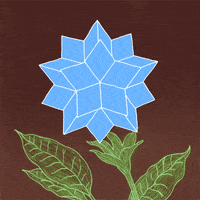flower GIF