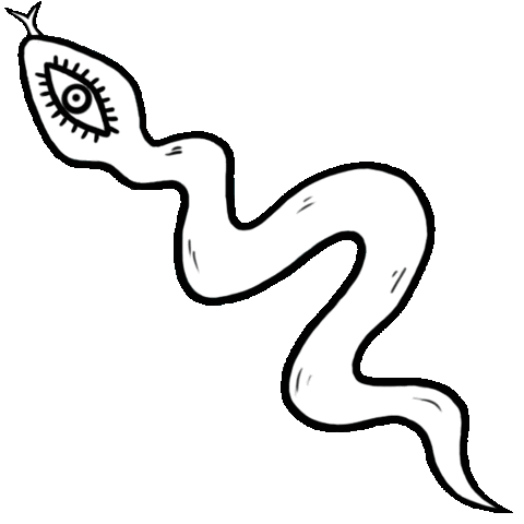 Eris_Raven witch snake witchcraft witchy Sticker