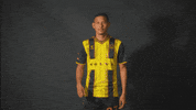 South Carolina Soccer GIF by Charleston Battery