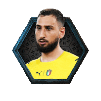 Donnarumma Sticker by FIFPRO