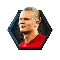 Erling Haaland Sticker by FIFPRO