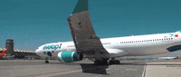 Viajar Cabin Crew GIF by Iberojet