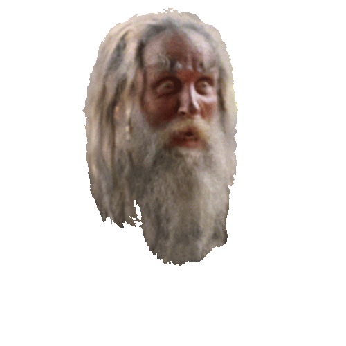 BWS_AU giphyupload Sticker