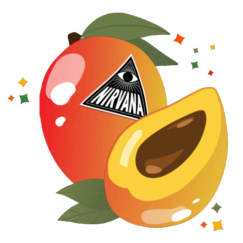 PandaDigital giphyupload punch nirvana mango Sticker