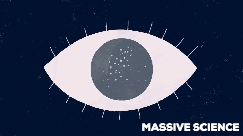 Massivesci giphygifmaker animation animated eyes GIF