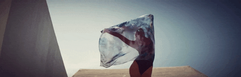 artifactlab giphyupload GIF