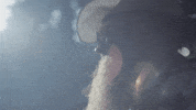 gethenjenkins party music video whiskey campfire GIF