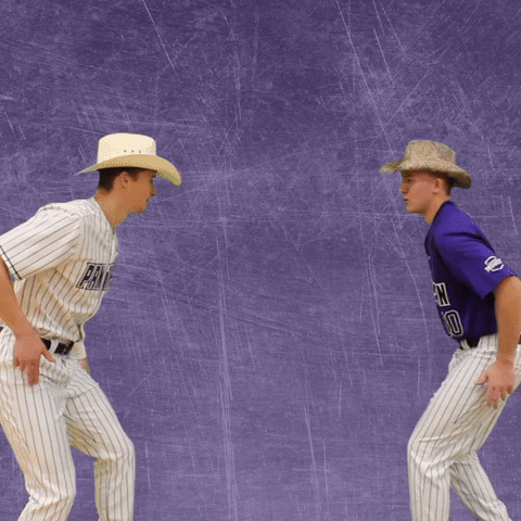 Baseball Wesleyan GIF by KWC Panthers