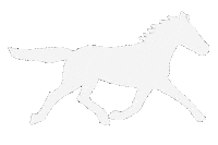 Chinese New Year Good Luck Sticker by eva pils