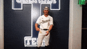 Georgia Tech Baseball GIF by Georgia Tech Yellow Jackets