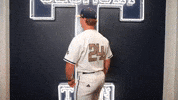 Georgia Tech Baseball GIF by Georgia Tech Yellow Jackets