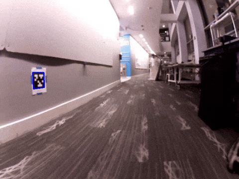 qverrill giphyupload GIF