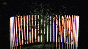 video art animation GIF by Daniel Barreto