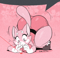 Cat Laser Pointer GIF