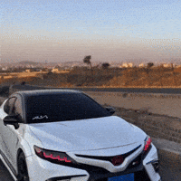 Camry GIF