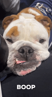 Happy Butler Basketball GIF by Butler University