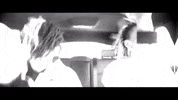 DCtheDon meme what fire rap GIF