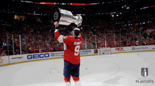 Stanley Cup Playoffs Win GIF by NHL