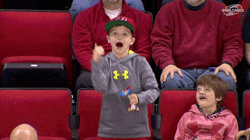hockey dancing GIF by Carolina Hurricanes