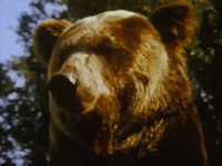 the beastmaster GIF