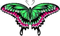 Natureza Sticker