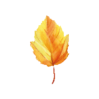wineandsomething wine autumn tree leaf Sticker