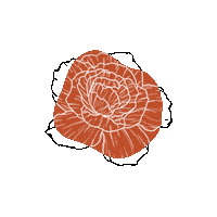 Flowers Drawing Sticker