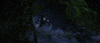fly dreamworks GIF by How To Train Your Dragon