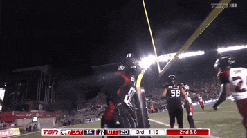 td place yes GIF by REDBLACKS