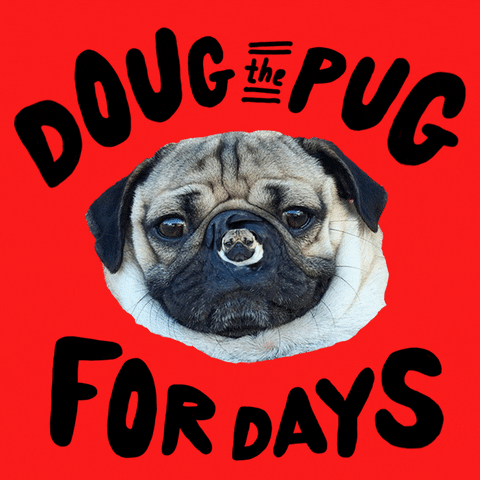 doug the pug pugs GIF