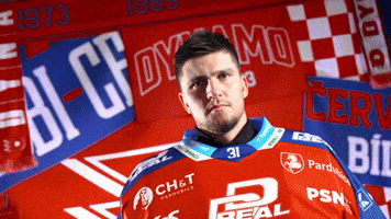 Tomas GIF by HC Dynamo Pardubice