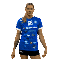Handball Slovenia Sticker by RK Krim