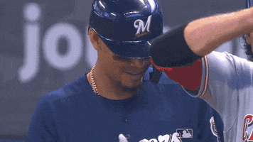 Regular Season Smile GIF by MLB