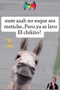 Humor Amigos GIF by Murcianys LLC