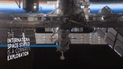space astronaut GIF by NASA