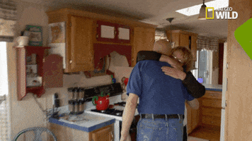 nat geo wild pet GIF by The Incredible Dr. Pol
