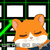Happy Lets Go Sticker by Hamieverse
