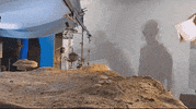 Star Wars Disney Plus GIF by Tippett Studio