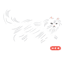 National Cat Day Sticker by H-E-B