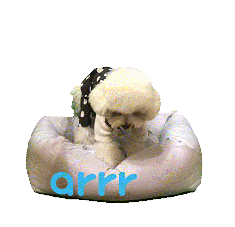 아르르 Sticker by arrr_official