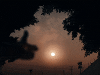Moonlit Fools GIF by Sam Dew