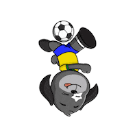 Futebol Copa Sticker