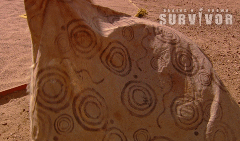 Reveal Reward GIF by Australian Survivor